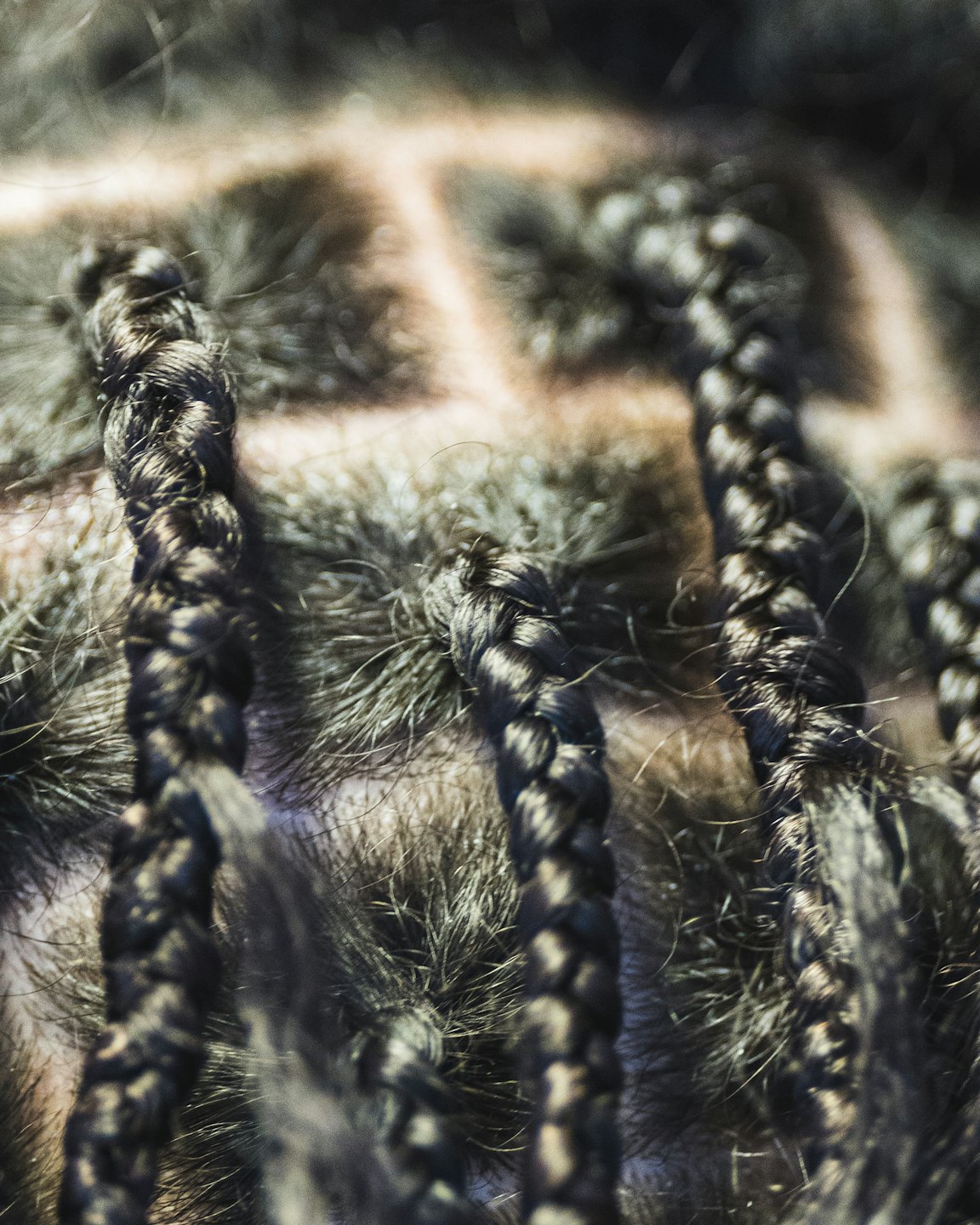Intricately braided hair with precise partings on a scalp.